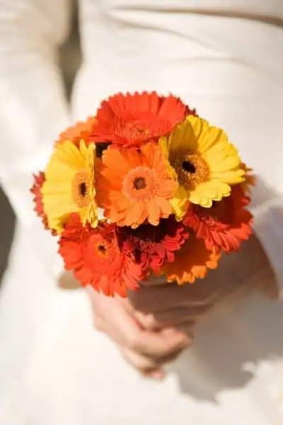 Frugal ways to get married