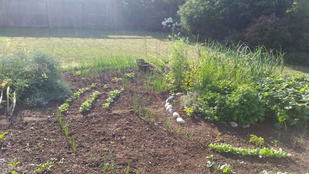garden