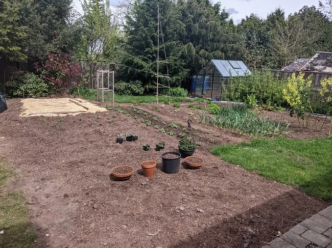 Tawcan backyard garden