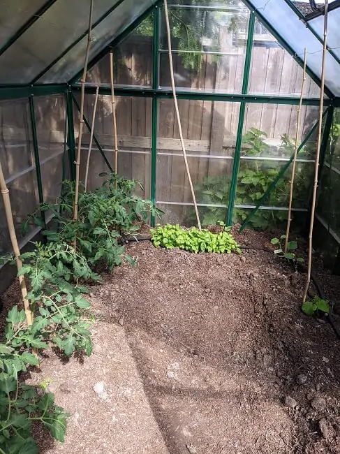 greenhouse