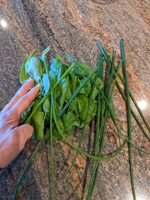 harvest