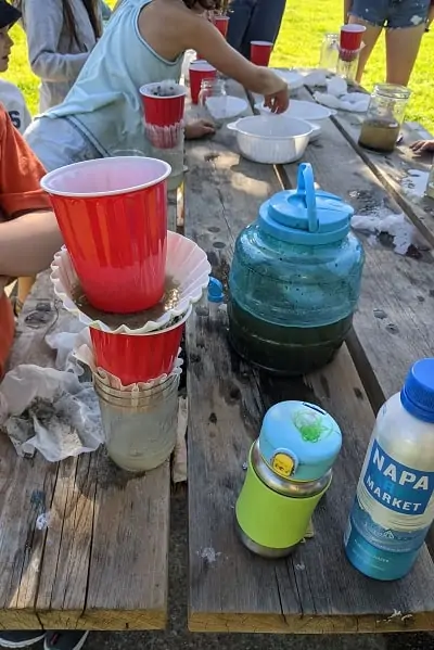 beaver activities