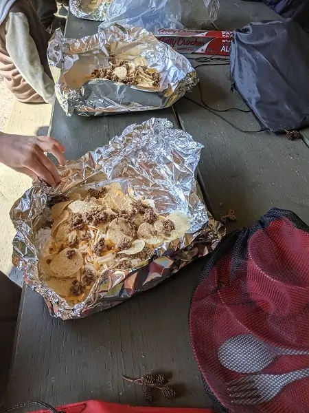 beaver activities