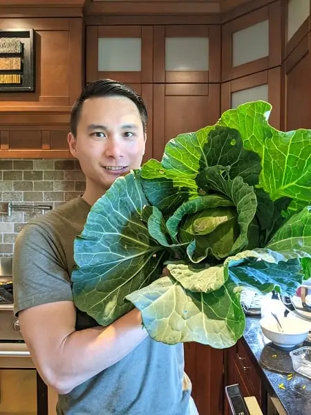 dividend income update July 2021. Backyard garden