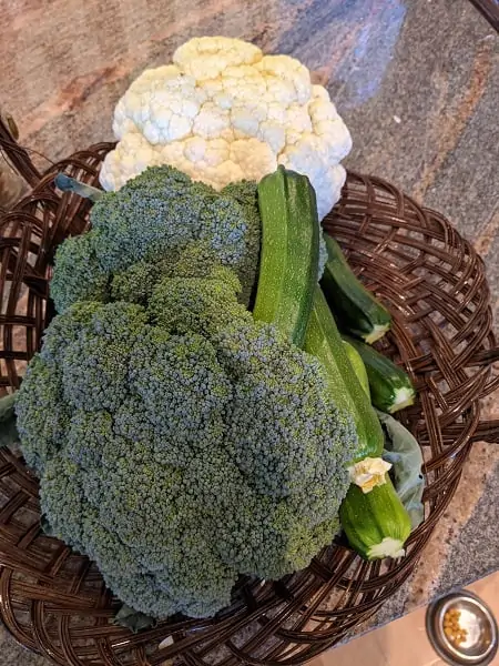 dividend income update July 2021. Backyard garden