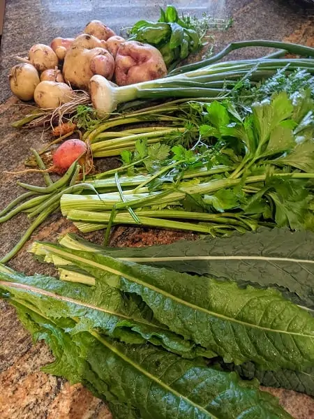 dividend income update July 2021. Backyard garden