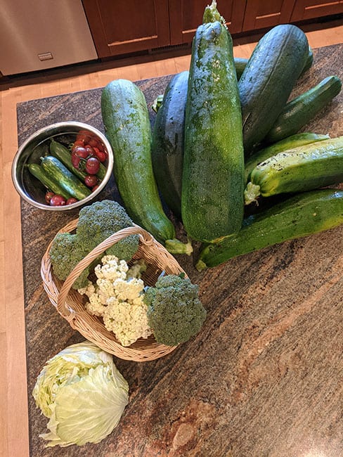 garden harvest