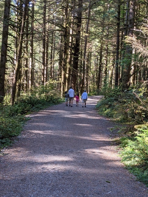 walking in Golden Ears