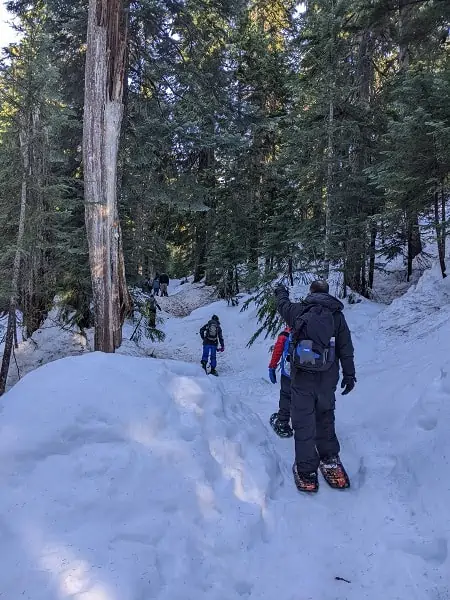 Snowshoeing