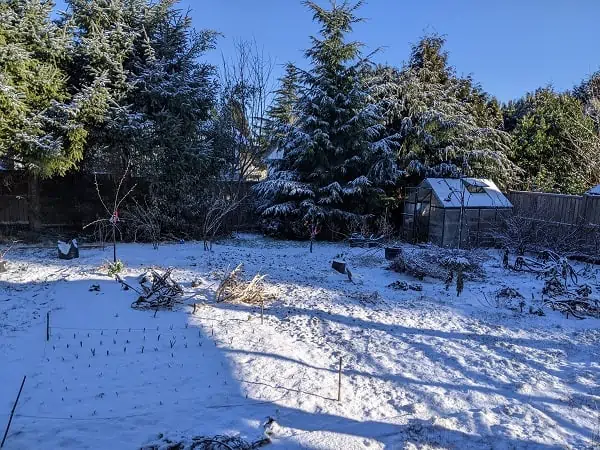 snow