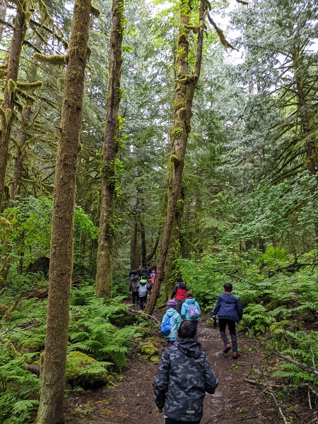 hiking