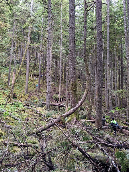 explore