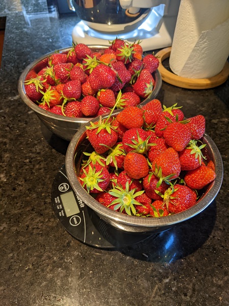 strawberries