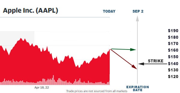 Apple put options