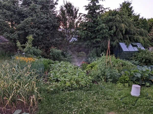 garden