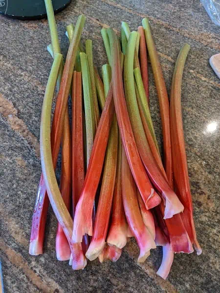 rhubarb