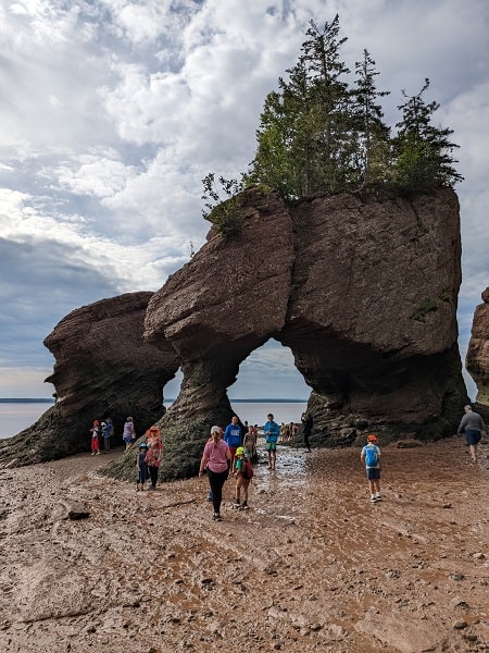 Hopewell Rocks