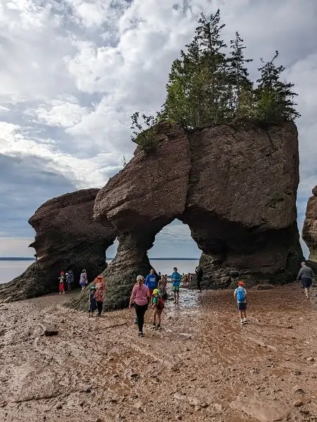 Hopewell Rocks