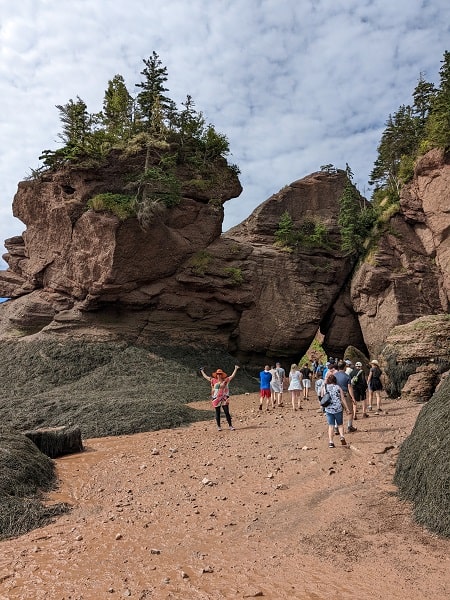 Hopewell Rocks