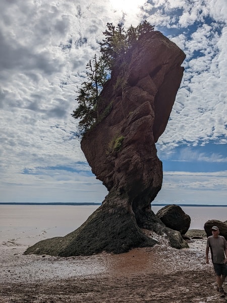 Hopewell Rocks