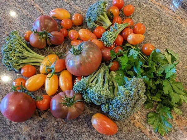 September harvest