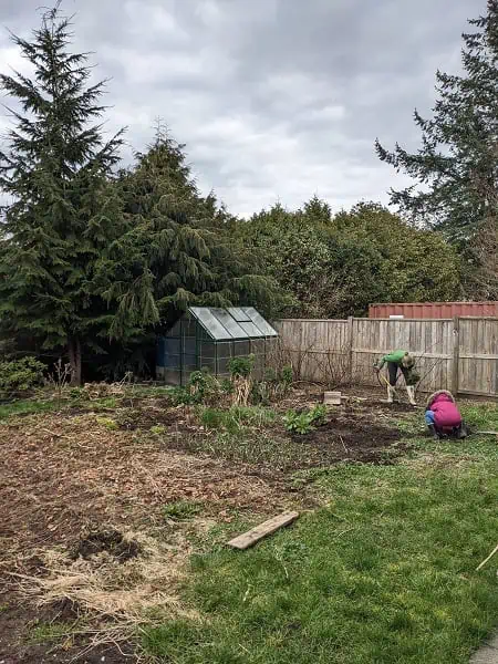 backyard garden