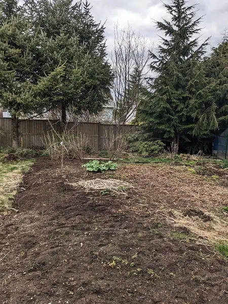backyard garden
