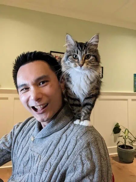 pirate cat