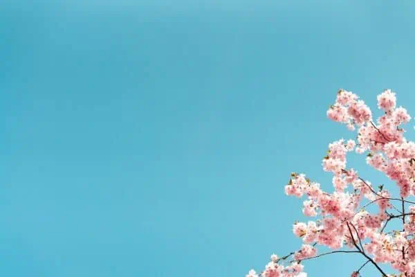 Dividend Income - April 2023 Update