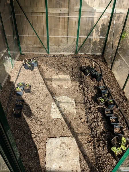 greenhouse