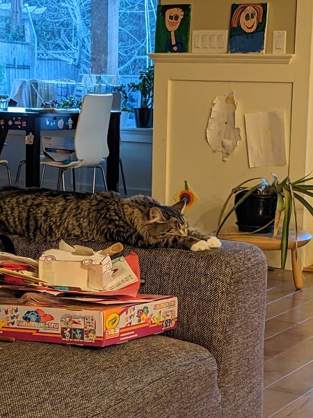 Sleeping/relaxing on the couch
