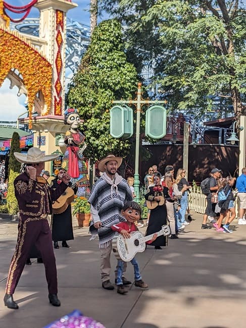 Coco show