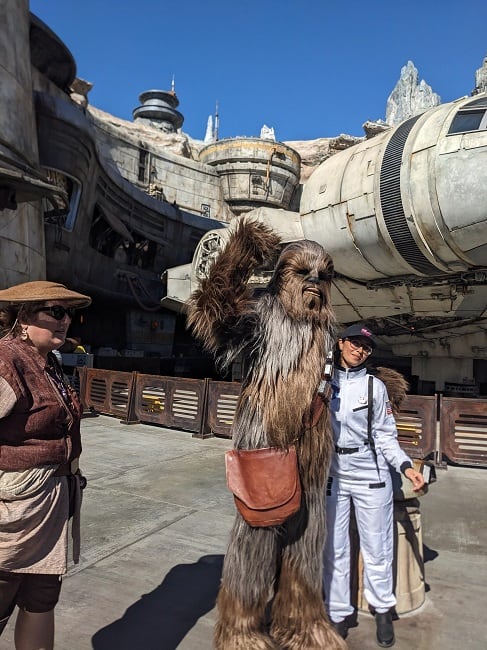 Chewbacca