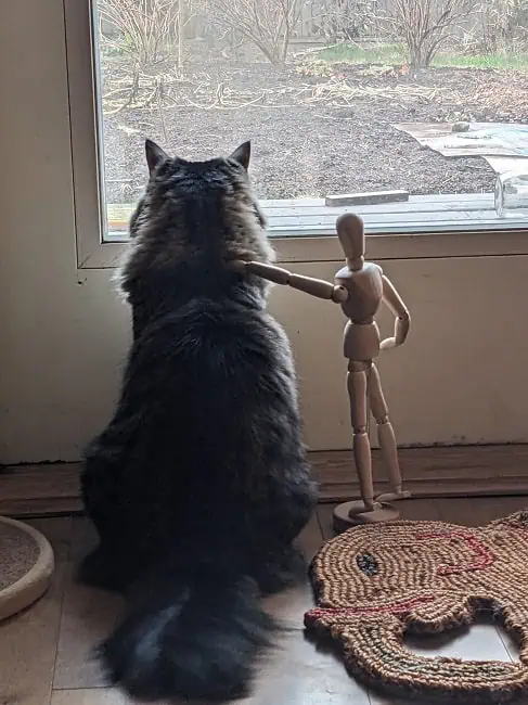 How’s it going, partner?
