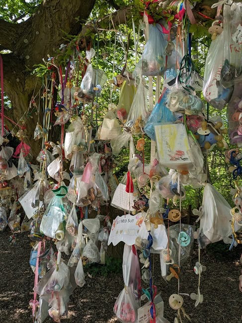 The Pacifier Tree in Frederiksberg Garden