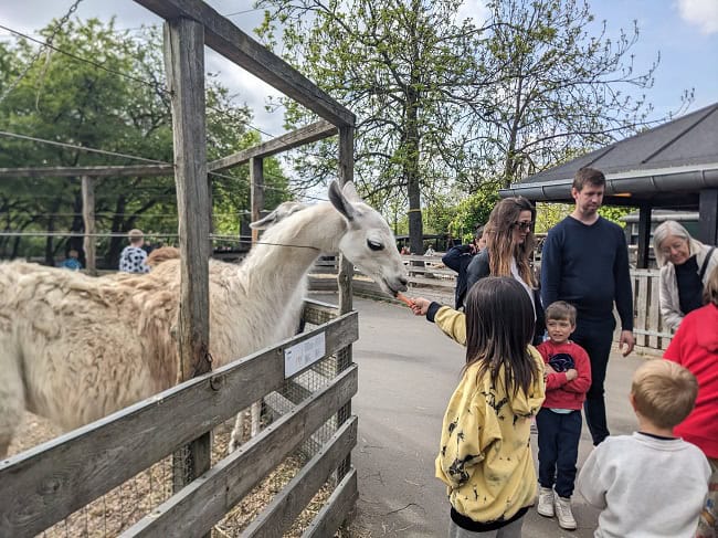 Visiting Frederiksberg Zoo