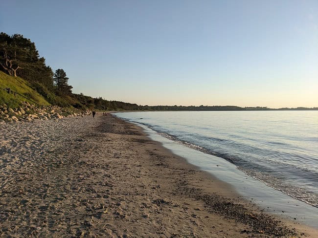 Daily walks on the beach