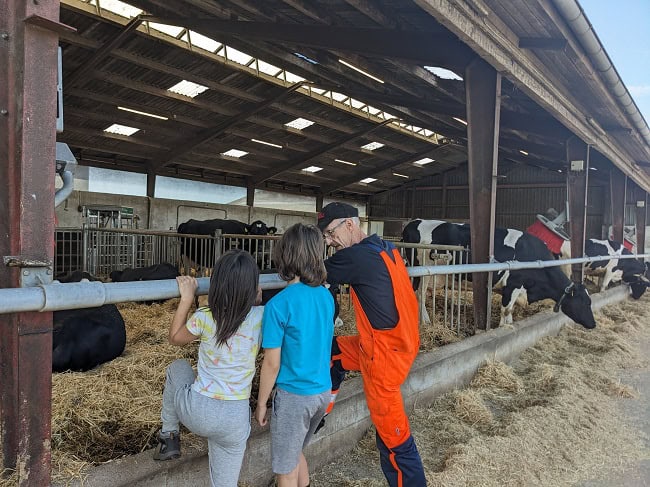 Kid 1.0 & Kid 2.0 learning about cows