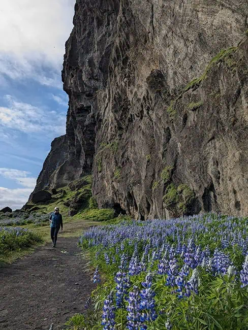 Walking around Gígjagjá area