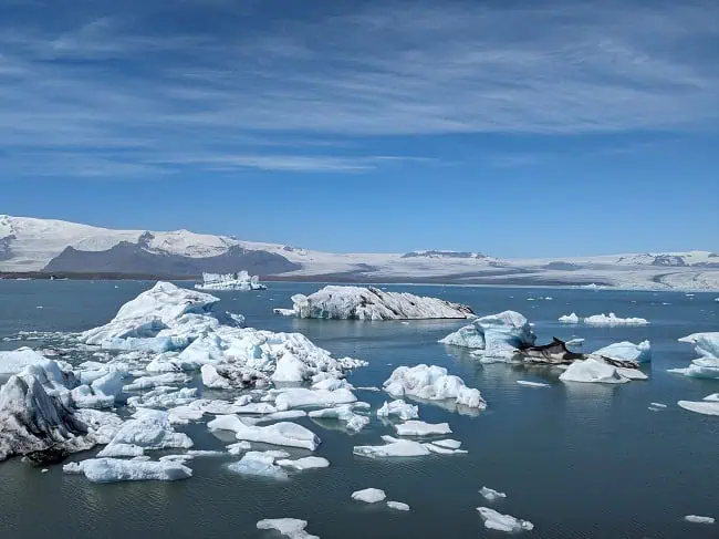 Jökulsárlón Glacier Lagoon