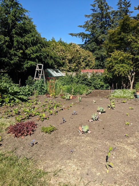 After many hours, the backyard garden was finally back in tiptop shape