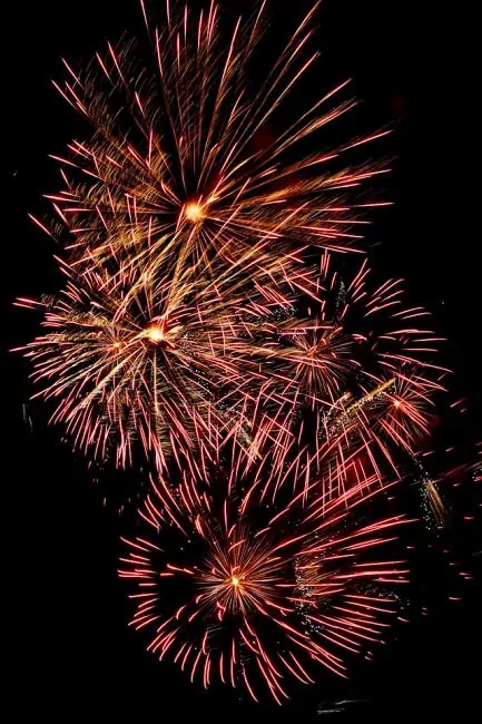 Happy new year - best of 2024