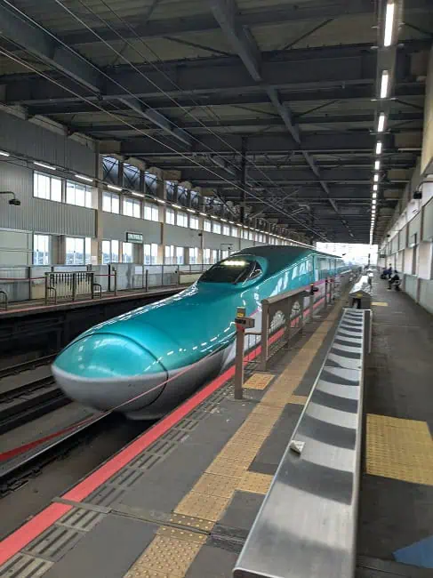 Shinkansen…zoom zoom!