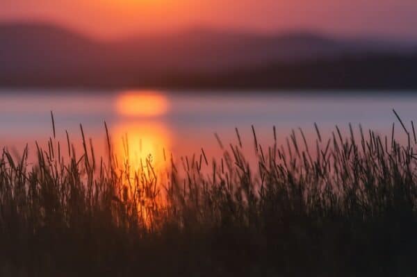 Does it make sense to build a dividend portfolio to generate steady & reliable monthly dividend income