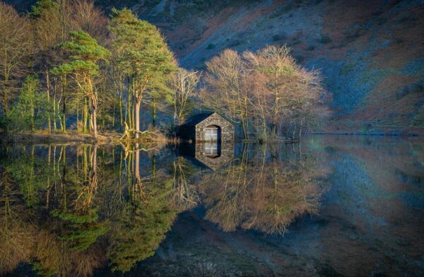 How to track your dividend portfolio beyond income A holistic approach for dividend investors