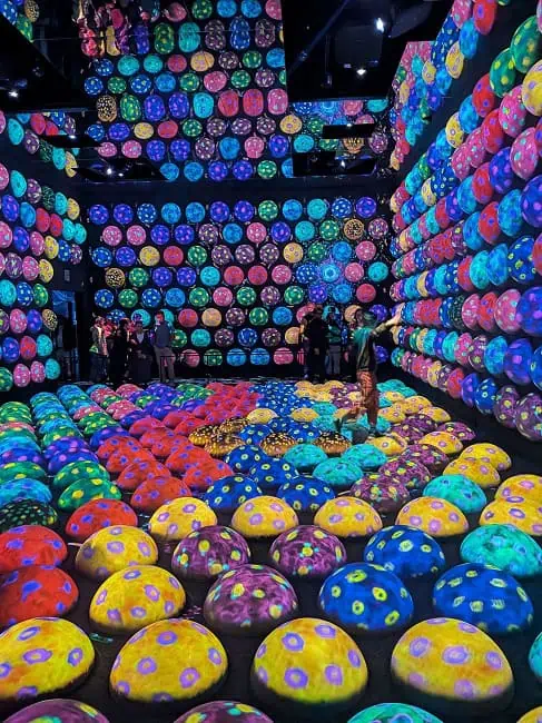 TeamLab Planets in Tokyo