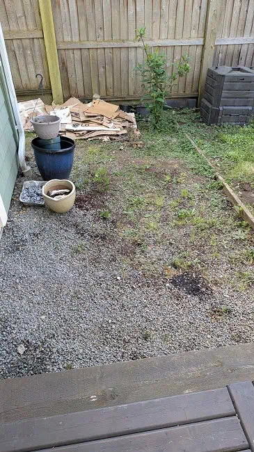 Before the cleanup, a lot of weeds growing and random junk lying around