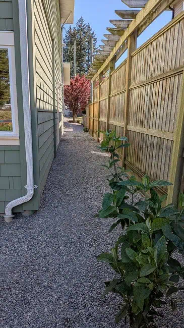 What the pathway looks like now. Much nicer looking