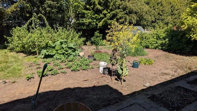 yard after