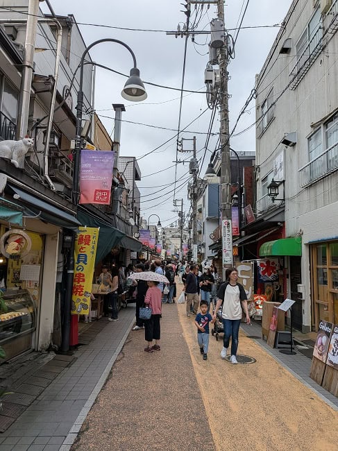 Walking around the Yanaka Ginza area